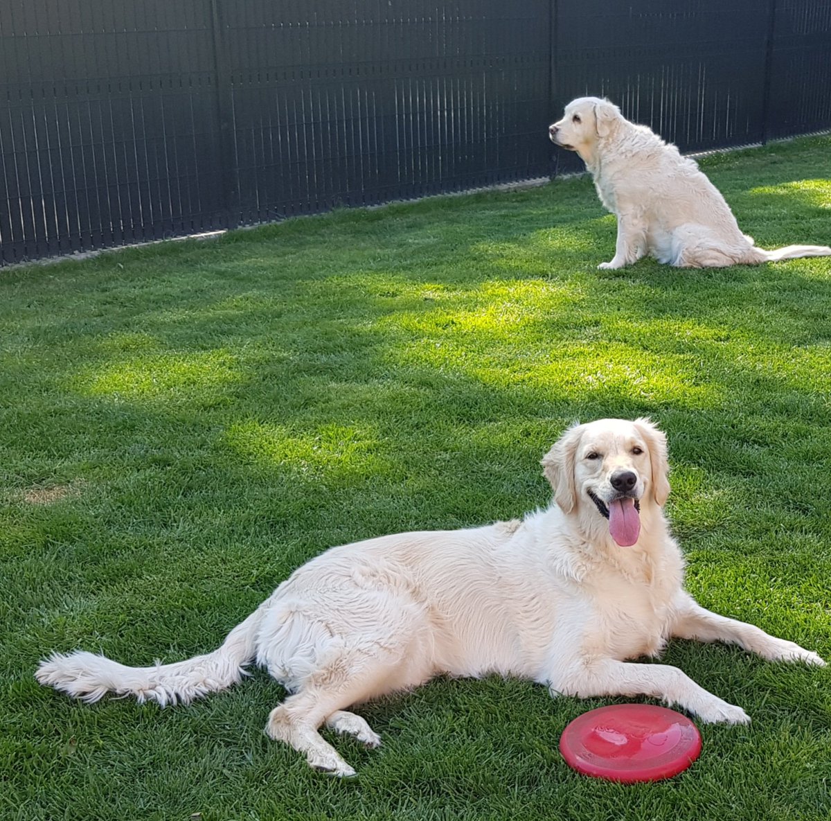 facebook.com/share/r/17Nxv1…

J'ai pas hâte de les voirs partir..