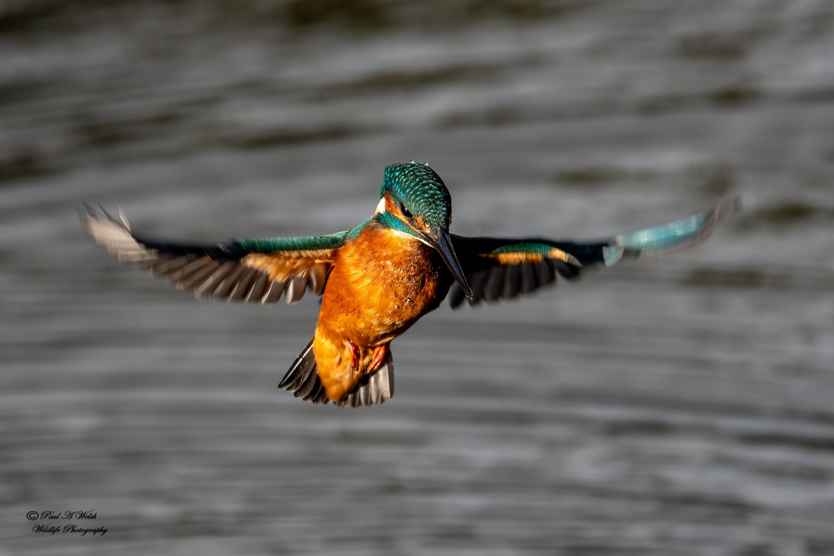 Paul Welsh tweet media