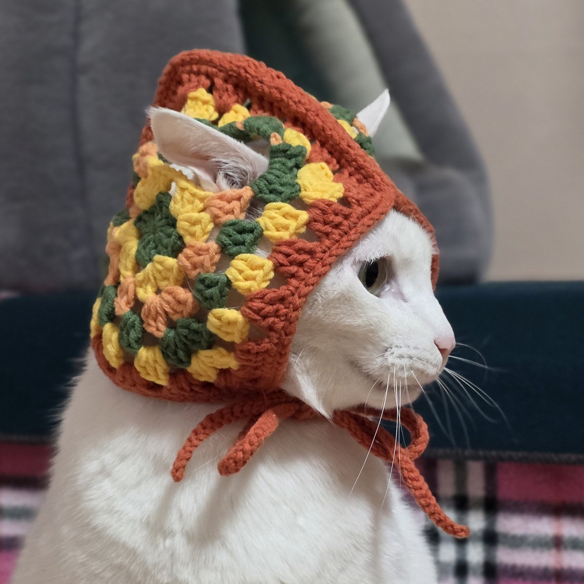 crchthy's tweet image. 내 사랑하는 아기한테 겨울맞이 모자 선물 🍂☃️🎅