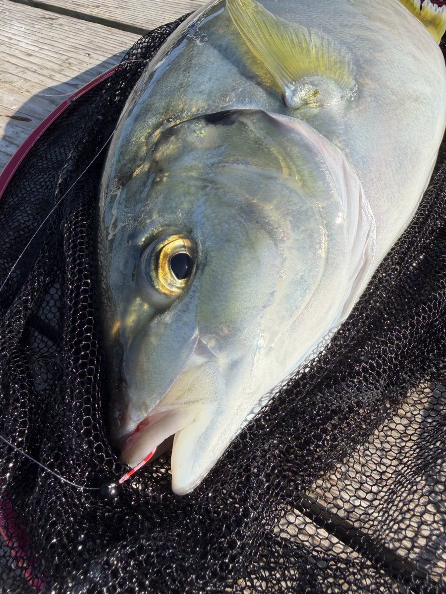 1091MAKOTO (@1091Makoto) / Posts / X