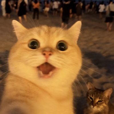 Phivin6's tweet image. #FotoProfilBaru