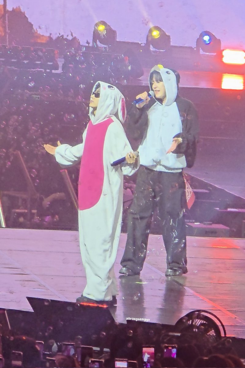 allrisegaemgyu's tweet photo. 🐰🐧 https://t.co/CC8I51TQue