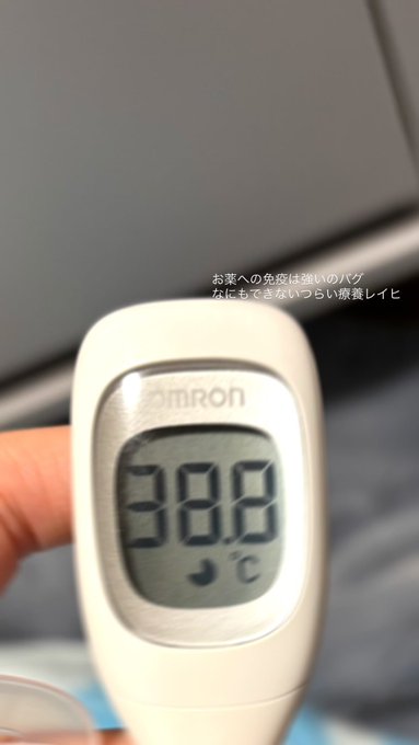 みゃおみゃお 秋葉原 コンカフェ ＆ メイドカフェのツイート