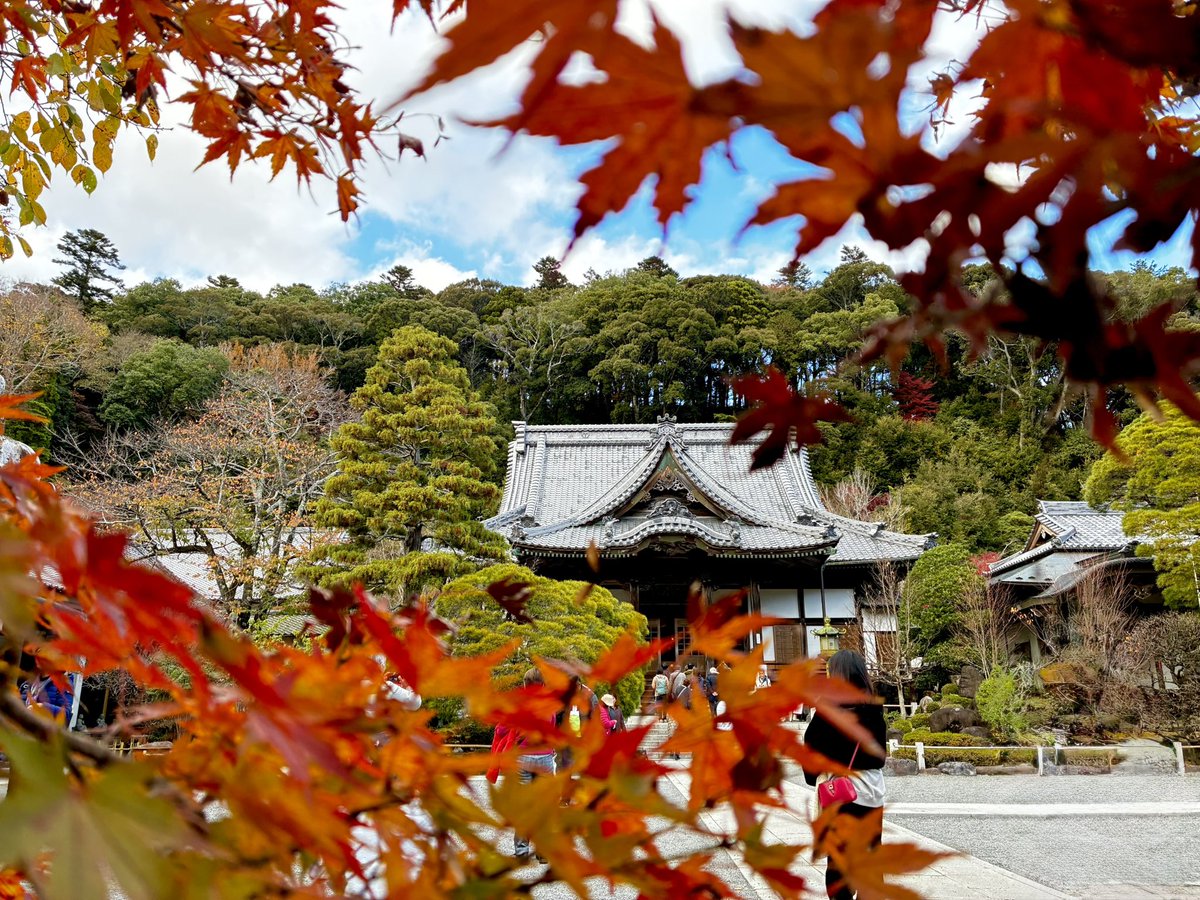 0320sR's tweet photo. 秋短いけど��き。
#紅葉 https://t.co/ZuRIUVxFwQ