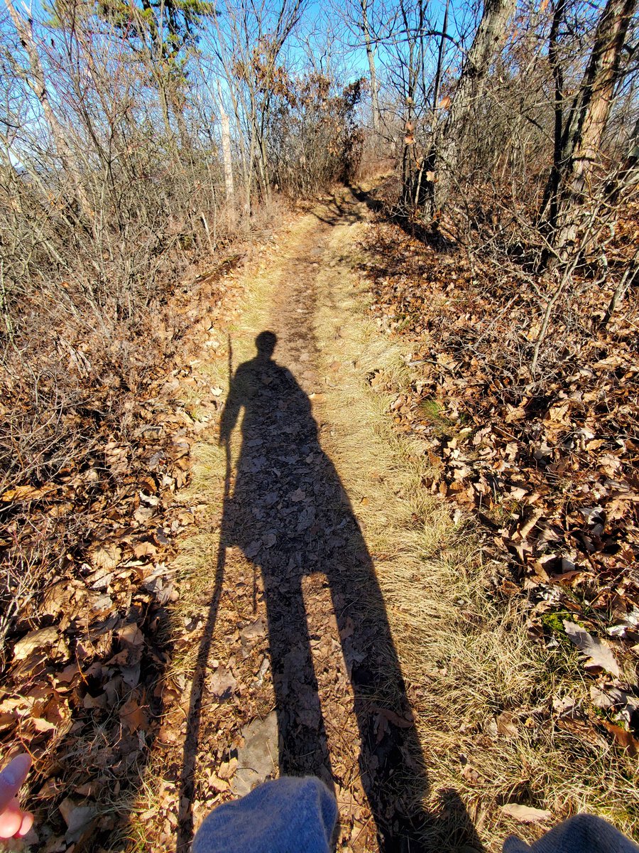 SantiagoWeek13's tweet image. I

#WeekVforVowels 
#AlphabetChallenge