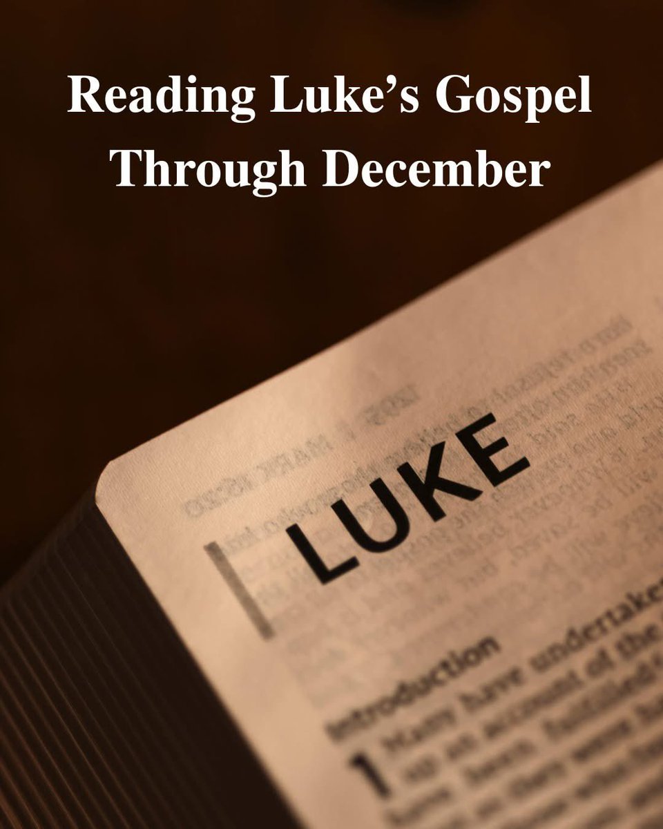 birdchadlouis's tweet image. Here’s an idea for something you can do daily in the month of December.

Since tomorrow is December 1, in twenty-four days we will find ourselves at Christmas Eve. The Gospel of Luke has twenty-four chapters. So, if you read a chapter a day from Luke beginning tomorrow, by the…