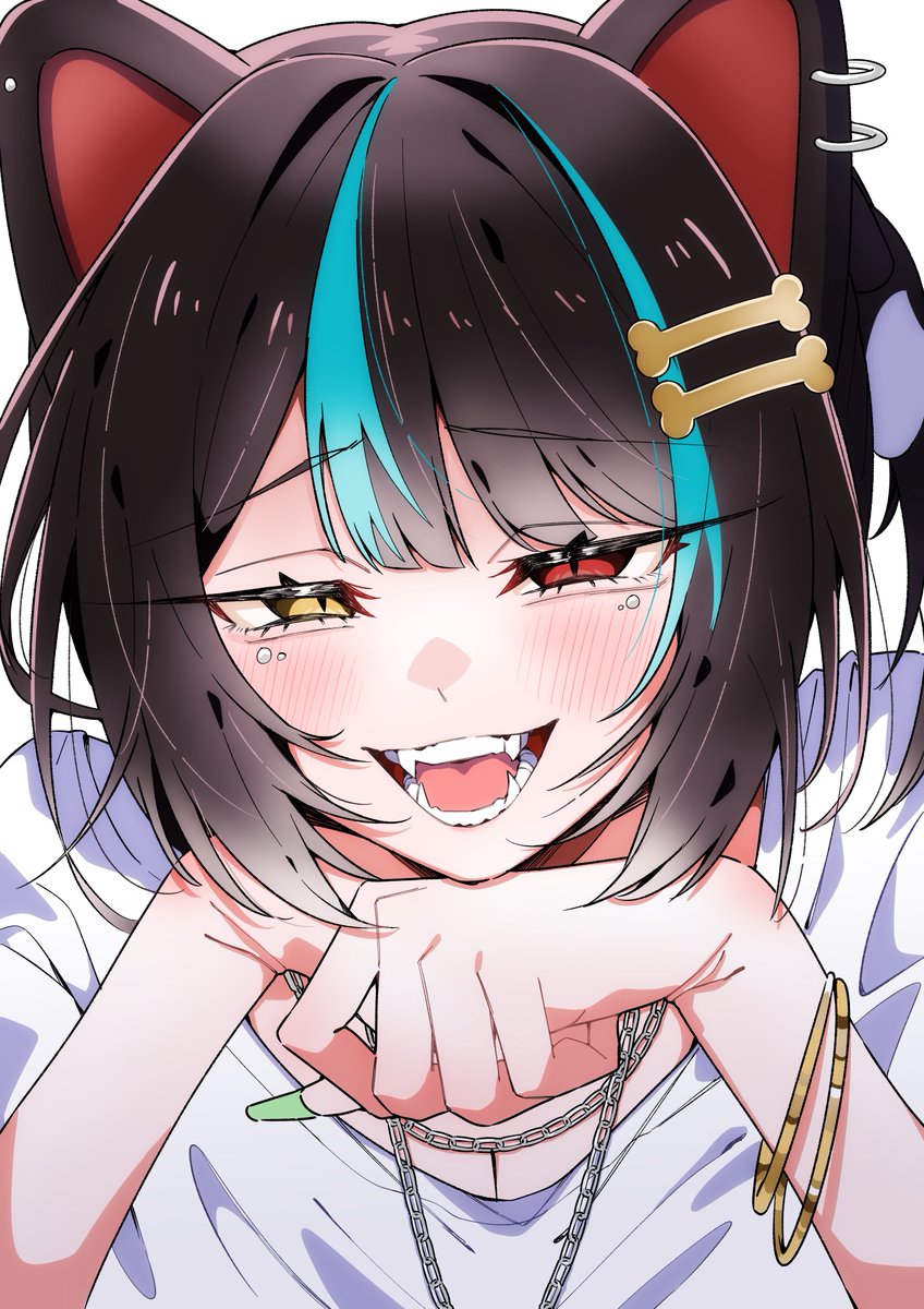 ねこまんま (@Shachiku563) / Posts / X