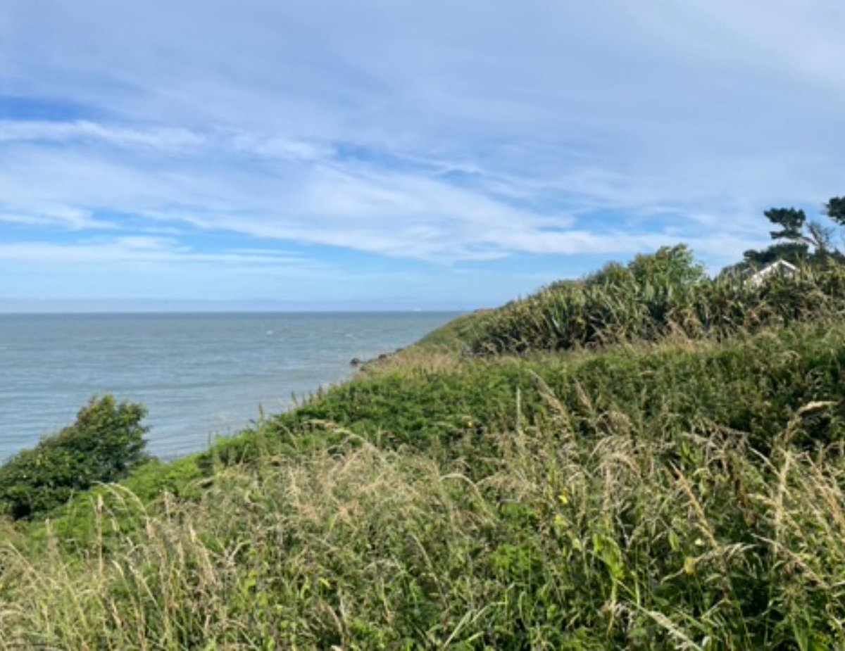 GoreMitch's tweet image. 🕯️HOPE For everything was written to teach us, that through the endurance taught in the Scriptures and the encouragement they provide we might have hope. May the God who gives endurance and encouragement give you the same attitude of mind toward each other that Christ Jesus had.