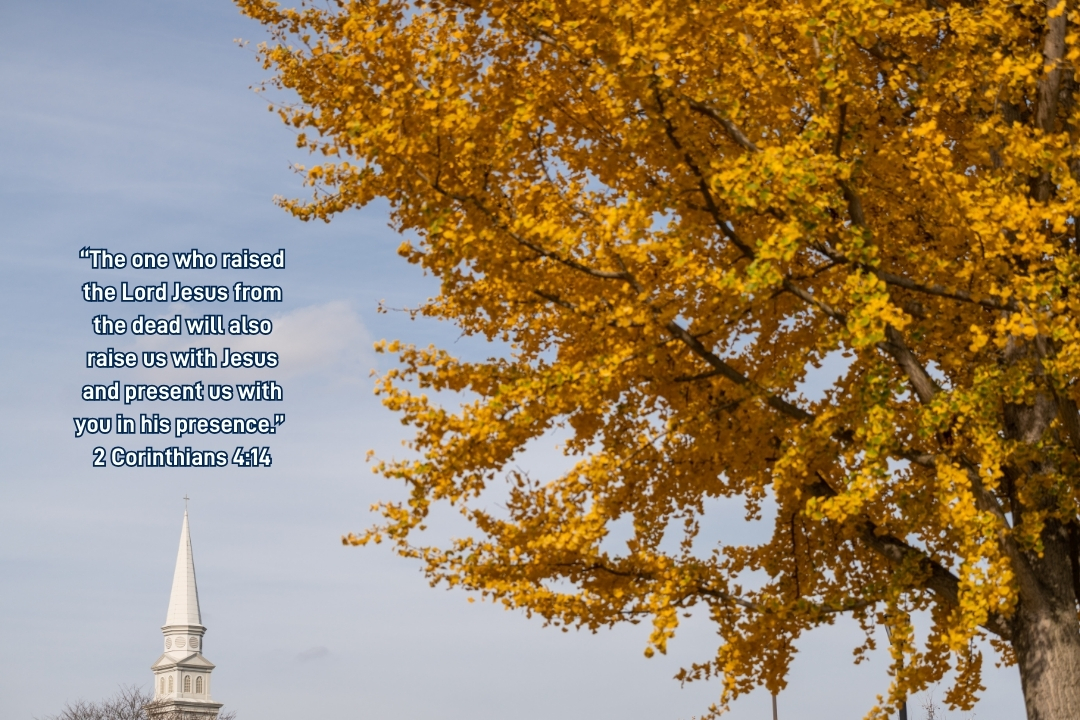 mvnu1968's tweet image. What a wonderful day that will be when we rise with Jesus Christ! 🙌

#SundayScripture #DailyDevotional #Scripture #Devotional