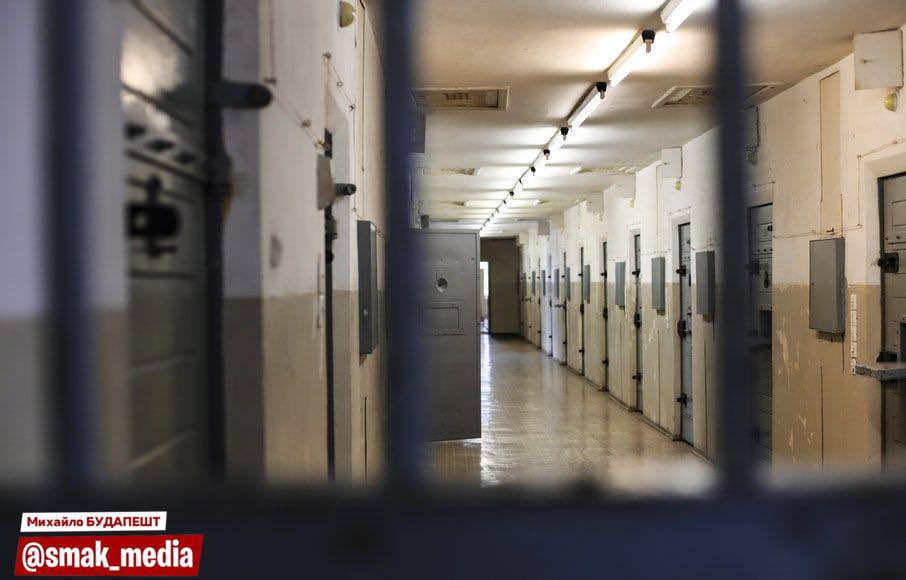 smak__media's tweet image. ⚡️ Кожен ФОП з прибутком більше 20 тисяч гривень на місяць буде сидіти в тюрмі, - податкова служба України 

«Ми просто не повіримо, що після усієї прийнятої нами з Гетьманцевом хуйні, хтось підніме цілу двадцятку.

Це 100% тіньова тєма або взагалі чорнуха», - пояснюють у службі