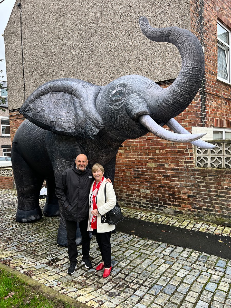 Head Safe Football tweet media