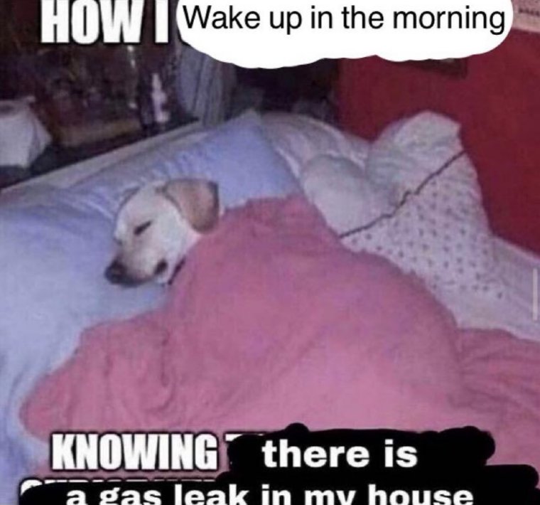 TOEKOMST 🇪🇺🇳🇱 (@toekomst_lives) on Twitter photo 