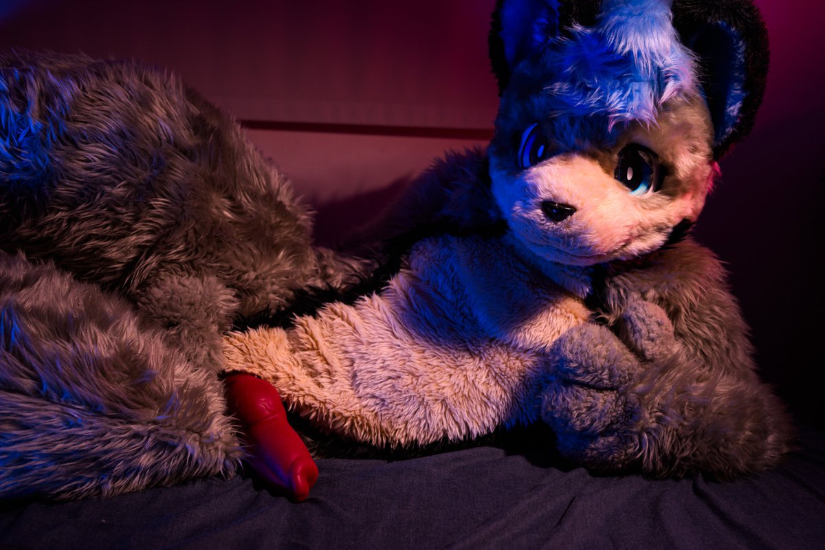 🍖すみや🍗 tweet media