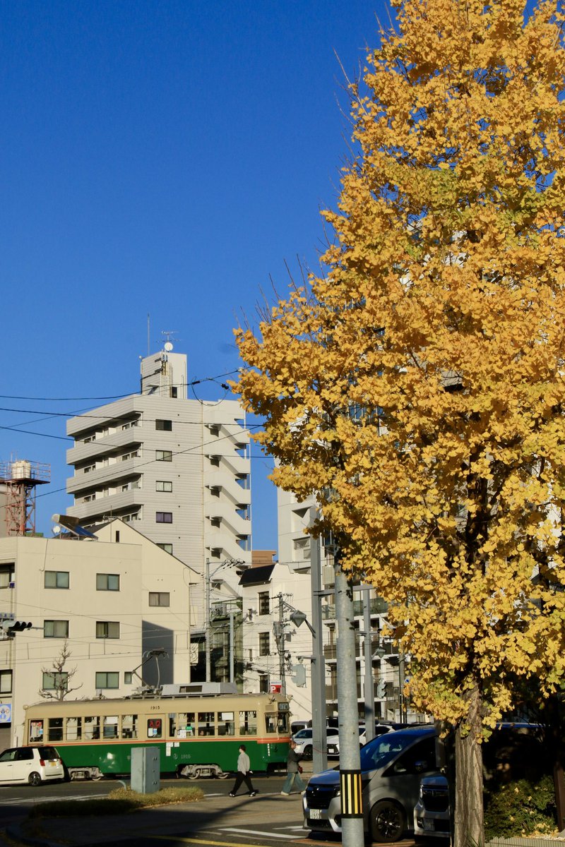 C57001's tweet photo. 撮影頻度が激減💦
…と言うことで去り行く秋🍂を、ちょっと街へと出掛けました📸
天気も申し分のない晴れで撮影日和☀️
銀杏の色付きも見事でした🍁
街中だけあって車も多く、自分の構図での撮影は、中々難しく…ただそこが広電撮影の面白さであり…で短い時間でしたが、楽しめました‼️
#EOS7Dmark2 https://t.co/Fi6OACJRGs
