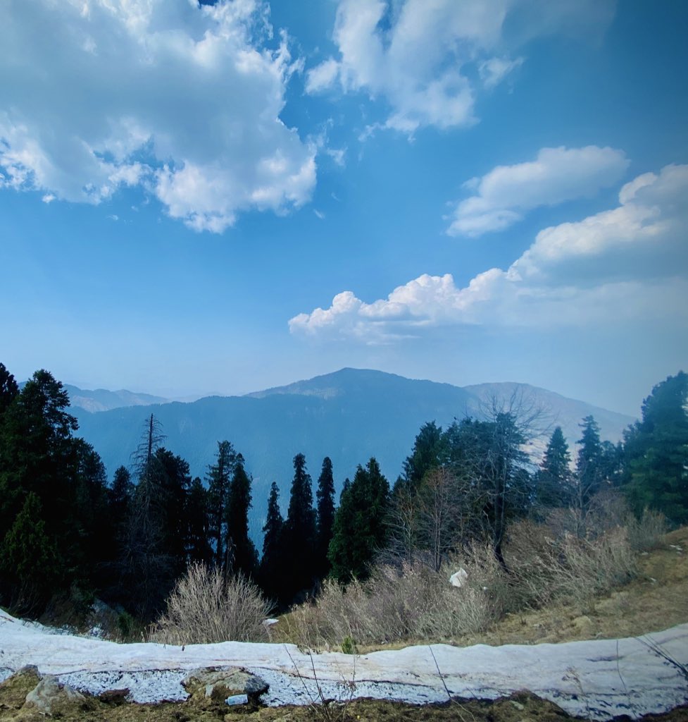 areej1185's tweet image. Good evening