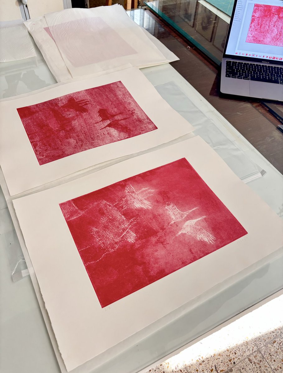 پرواز دسته جمعی 
2024