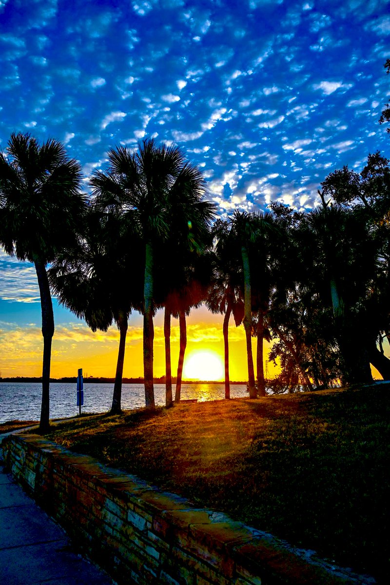 Good morning friends! #sundayvibes #SundayThoughts #sundaymotivation