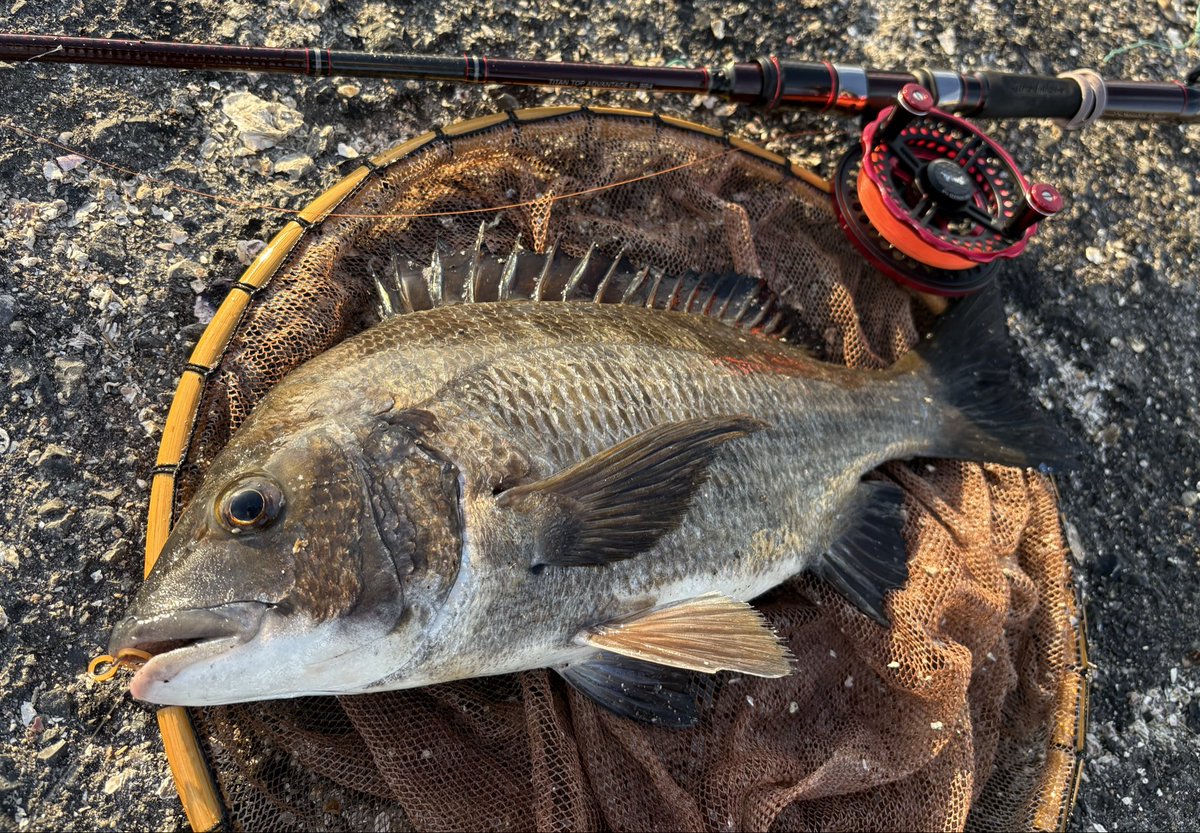 1091MAKOTO (@1091Makoto) / Posts / X