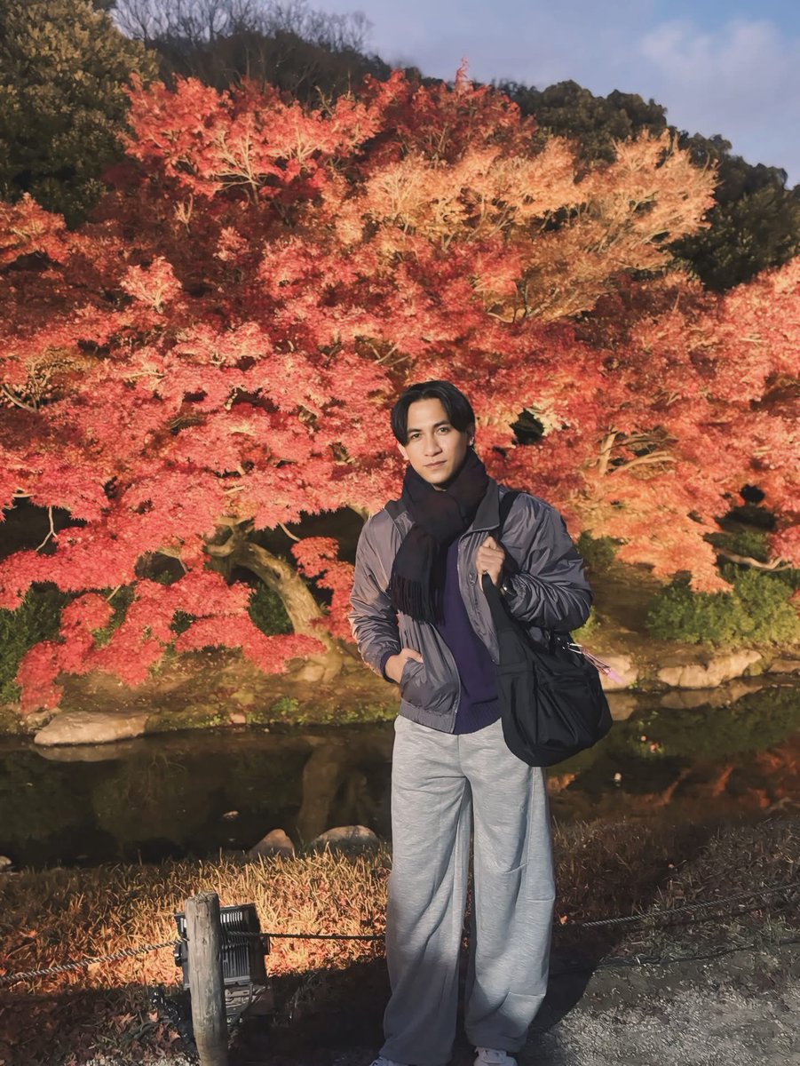 iamchristzer's tweet photo. Autumn leaves me lit—literally. 🍁 https://t.co/0v31hg8EFK