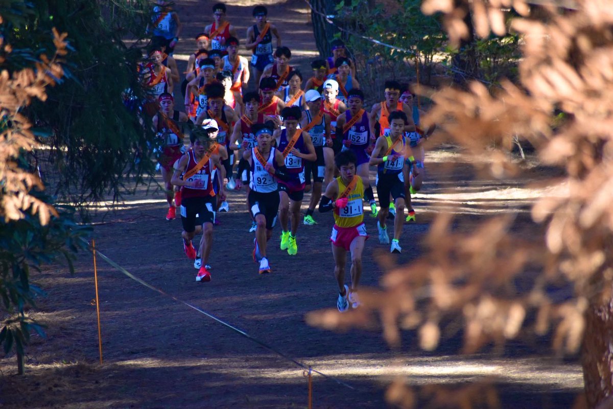 T_MultiRunner's tweet photo. 関東中学校駅伝
女子３位🥉　男子６位
今シーズンも残すは全中駅伝のみ
今年は女子が男子の想いをのせて頑張ってくれるはず。最後までがんばります https://t.co/hUrrqpvo2x