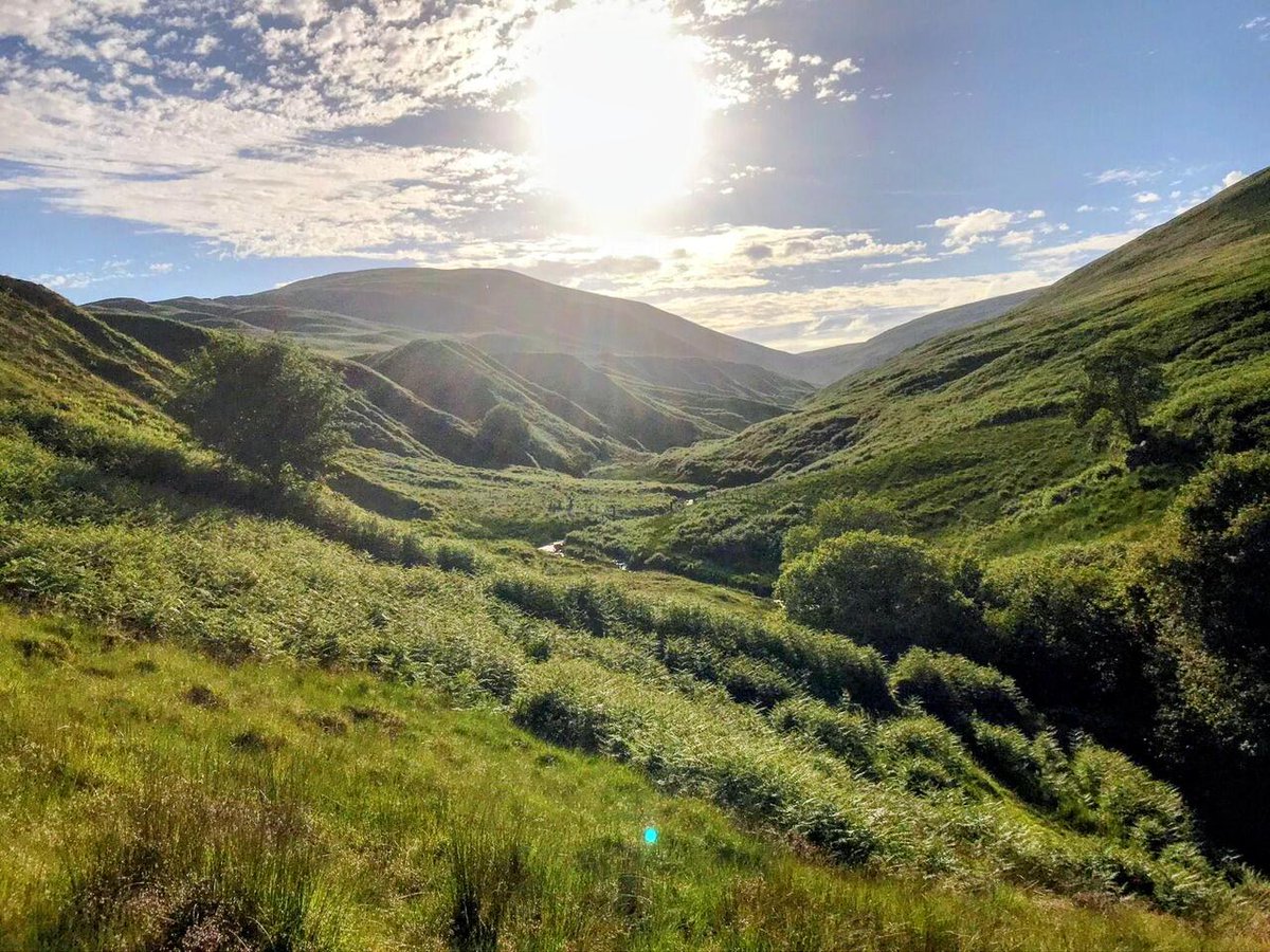 DocAtCDI's tweet image. Enjoy #OurEarthPorn!
(Steal This Hashtag for your own &amp;amp; join the community of Nature Addicts! )

Sunny Scottish hills [OC][2048x1536] 
Photo Credit: EnoughBreadfruit5250 
.