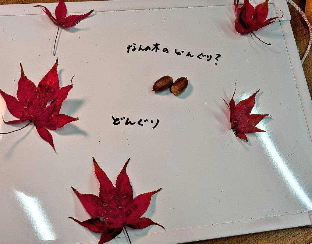 もし気が向いたら教えて欲しいでチュン。（長）