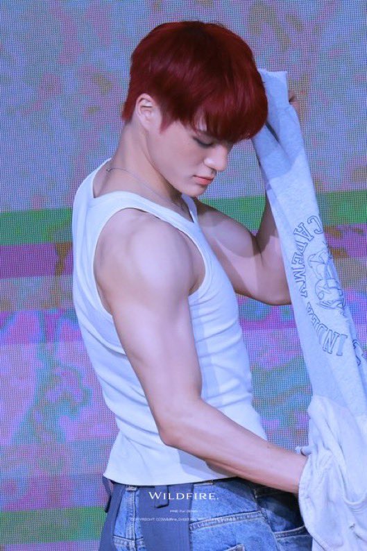 냥2 (@nanaleledream25) on X