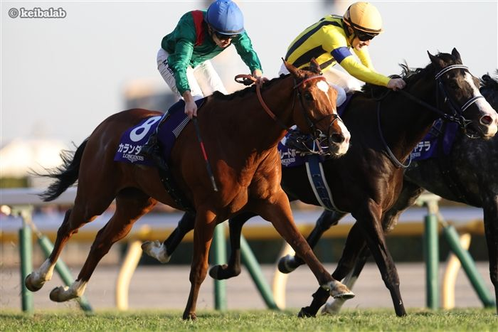 カランダガン　【競馬フィギュア】 大外突破カランダガン】 #カランダガン #Calandagan #MickaëlBarzalona