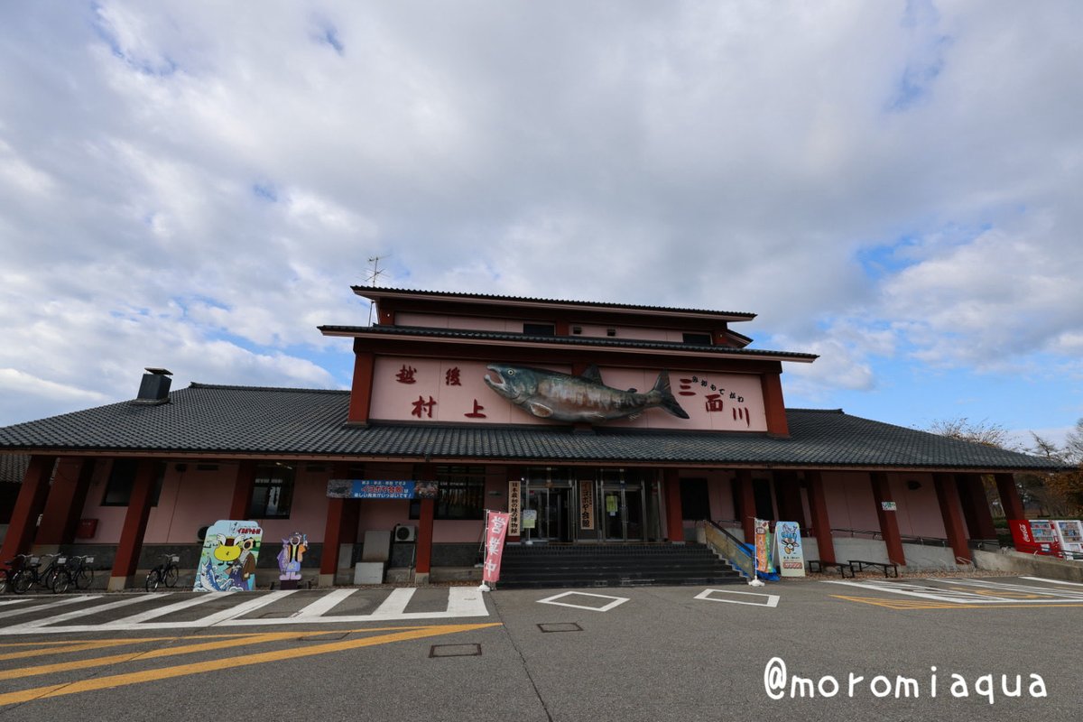 moromiaqua's tweet photo. 今日は新潟県、#イヨボヤ会館 と #マリンピア日本海 へ行きました。
イヨボヤは鮭の博物館ということでそんなに水槽がないかな？と思ってましたが、水族館と言っても差し支えないくらい充実していて驚きでした。
マリンピアは7ヶ月ぶりに訪れましたが、全く飽きが来ず良い水族館だなと再認識です。 https://t.co/aF0gNKBIUS