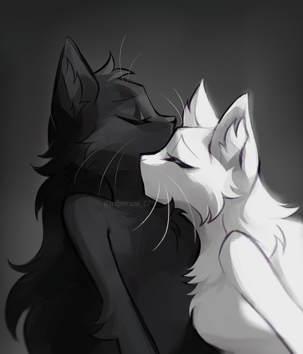 two beautiful cats 🖤🤍