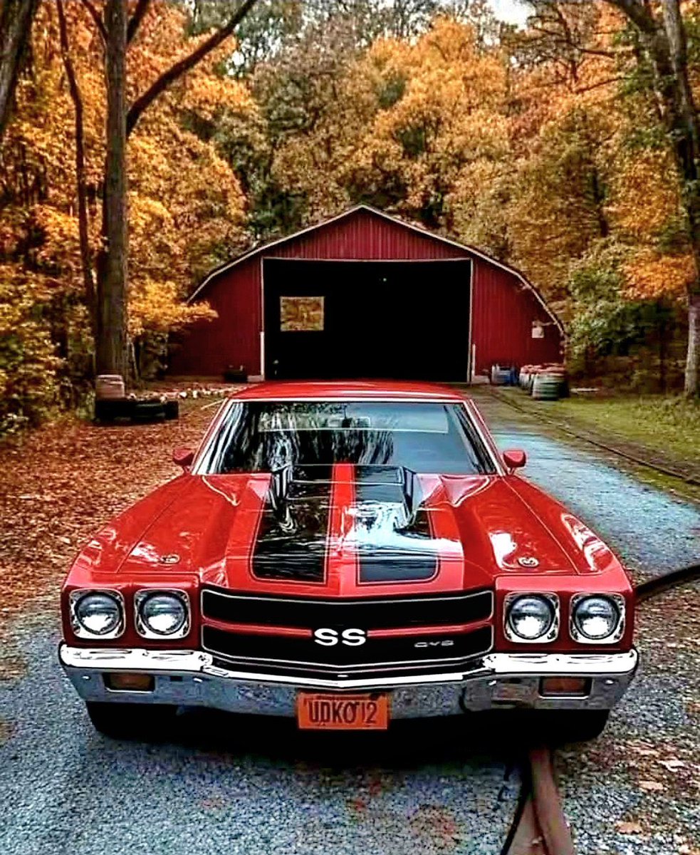 Praise the Lord!
<a href="/LisaWal24884807/">Lisa Walsh</a> <a href="/emma6USA/">Susan</a> <a href="/Loveof1776/">Victoria 🇺🇸⏳🗽🚔</a> <a href="/PaulMer53/">PAUL WALES GUNS N ROSES 🌹 LINKIN PARK 🤟</a> <a href="/mgtexp/">STOP THE STEAL Mike Grillo</a> <a href="/Outs45/">Outs 💕4️⃣7️⃣🇺🇸</a> <a href="/cg59runner/">Carole</a> <a href="/UnsinkableDolly/">@UnsinkableDolly The Veterans Conductress</a> <a href="/GilbertWanda/">Wanda Gilbert🔥</a> <a href="/SFG169/">🌹SFG10🌹</a> <a href="/bitterness_joy/">Bitterness_Joy</a> <a href="/KevinGills13/">Kevin 1763</a> <a href="/TheFloridaMike/">Florida Mike: Vance2028</a> <a href="/TheJudge96/">ESEQUIEL</a> <a href="/lah3309/">Lori Anne</a> <a href="/thompsonb2569/">Sword⚔️&Torch🔦of God🤺🛡️📖🩺🏥</a> <a href="/sep16000/">sep16000</a> <a href="/girlnamed_Seth/">Seth</a> <a href="/Tweeklives/">twk4usa</a> <a href="/RodneyEvans/">Pastor Dr. Rodney Evans</a>