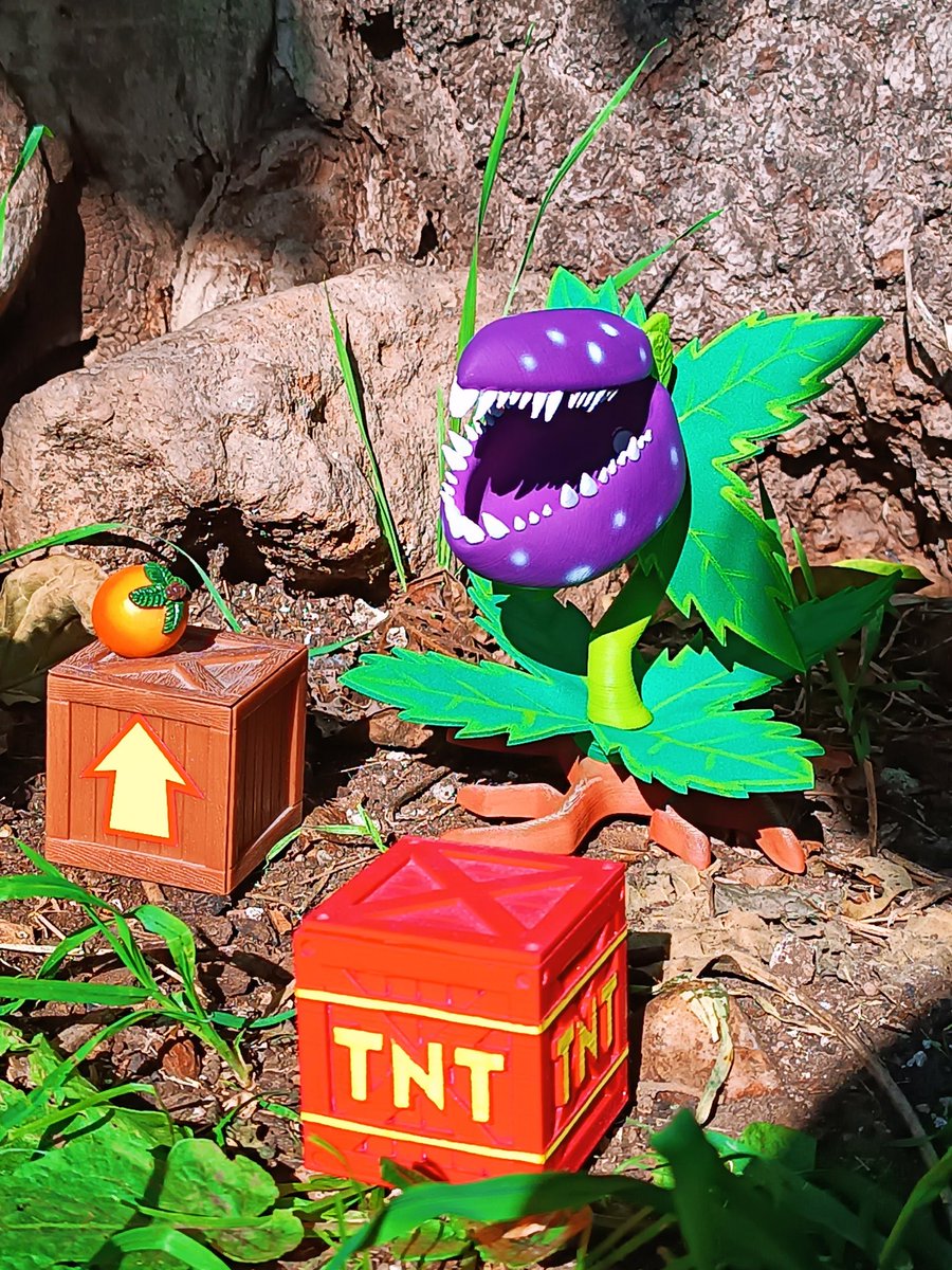 VD VorteX tweet media