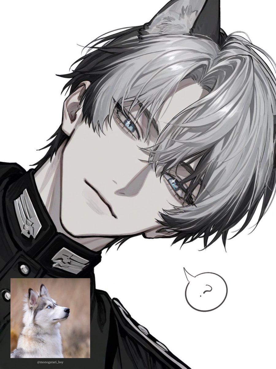 とくま (@tokku__maao0n3) / Posts / X