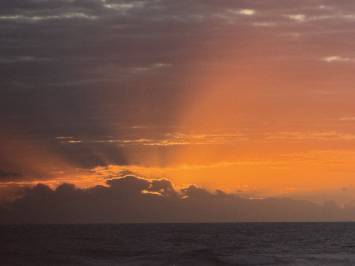 cat heifner tweet media