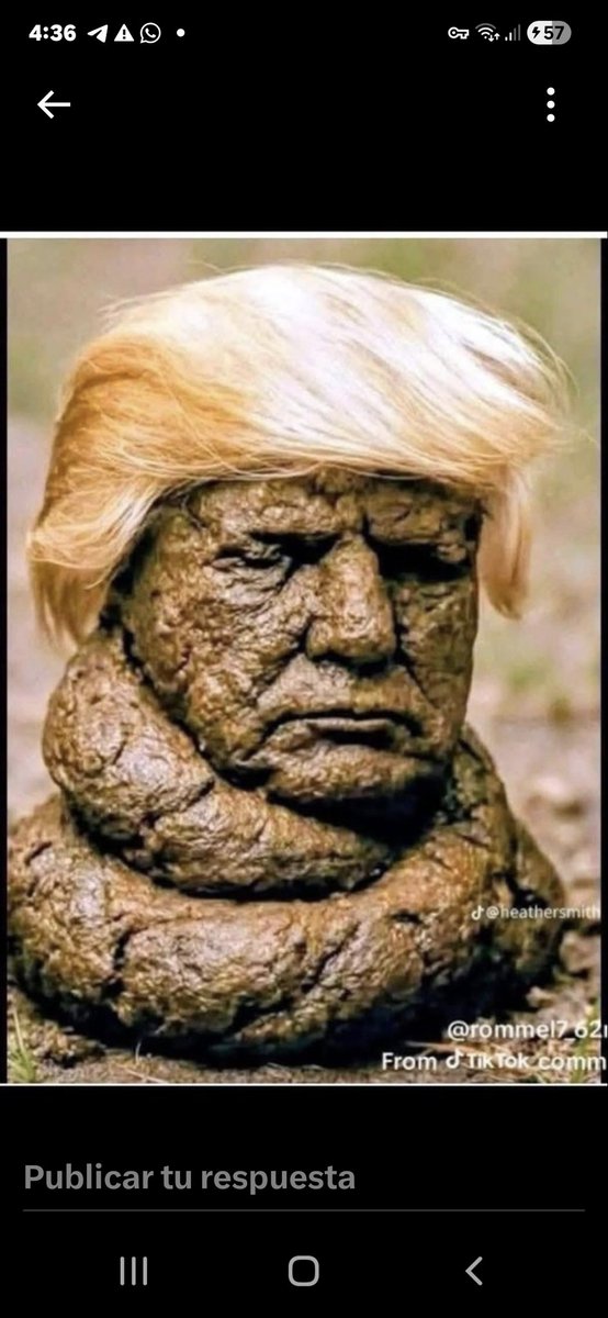 ArtruroD's tweet photo. La administración gringa dirigida por el delincuente sexual #Locotrump sentenciado por 34 delitos sexuales entre ellos pedófilia
Se ha convertido en delincuente internacional querido agredir a países soberanos que no se arrodillan ante su afán de robar sus recursos naturales https://t.co/irjlCnunmL