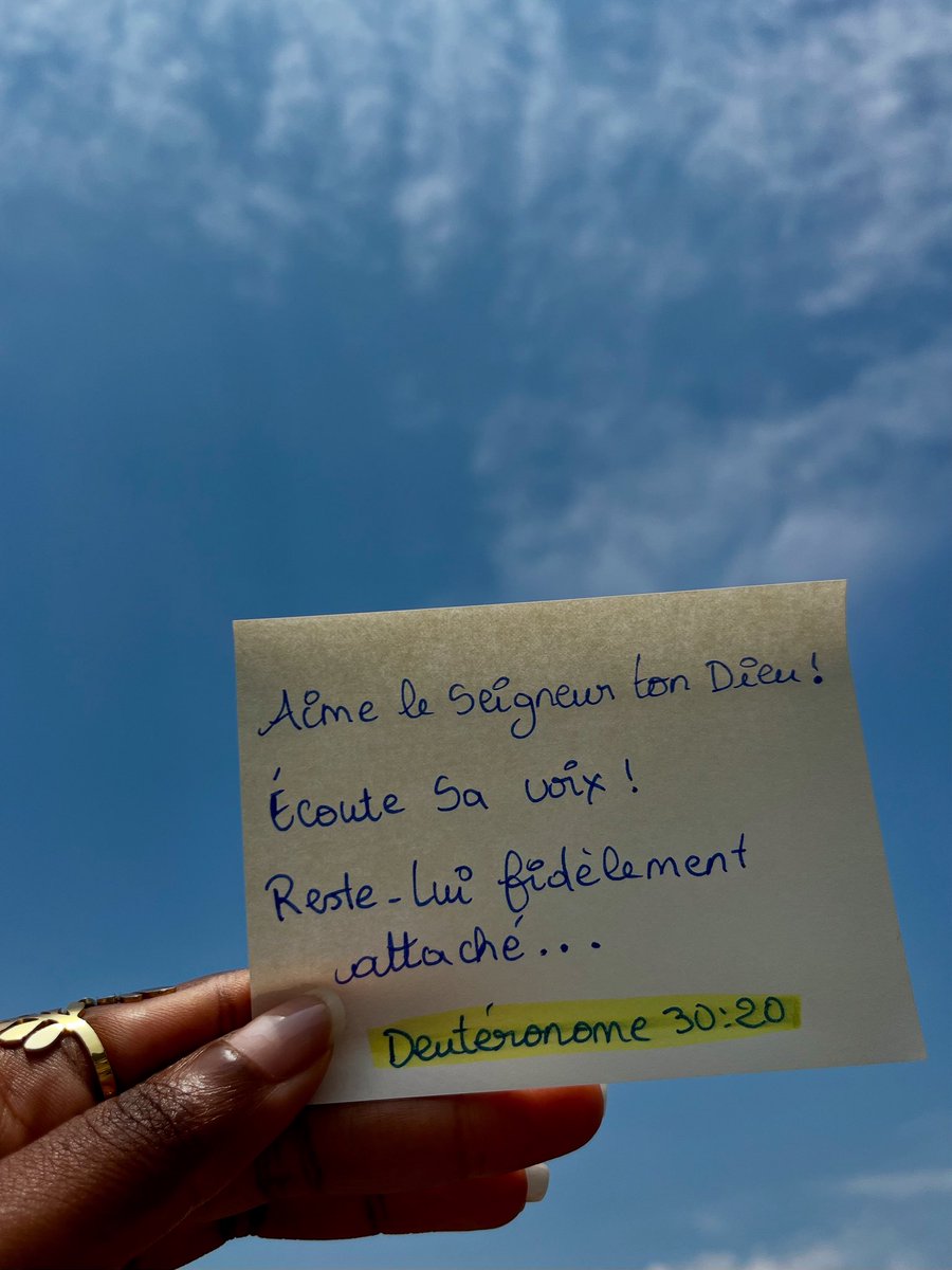 Bon dimanche. ✨❤️