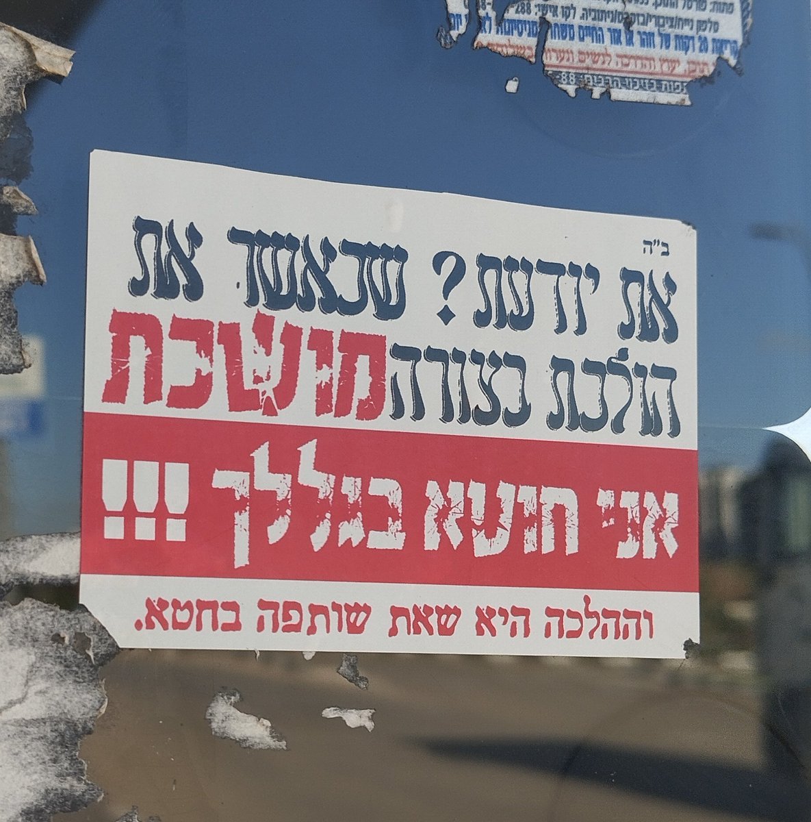 itsshirzohar's tweet image. זה הכי סוטה בעולם 
אני לא אמורה לקחת אחריות על הראש המלוכלך של אחרים 
להאשים נשים בזה שהן שוות זה כבר לבל אחר של דיכוי