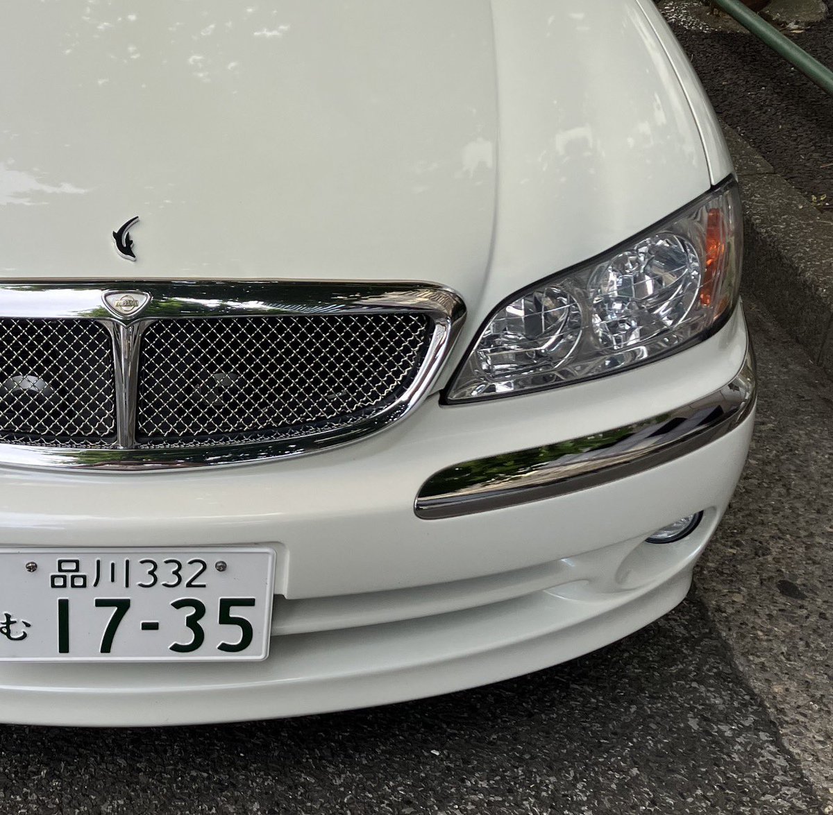 本当にここすきポイント過ぎました😊