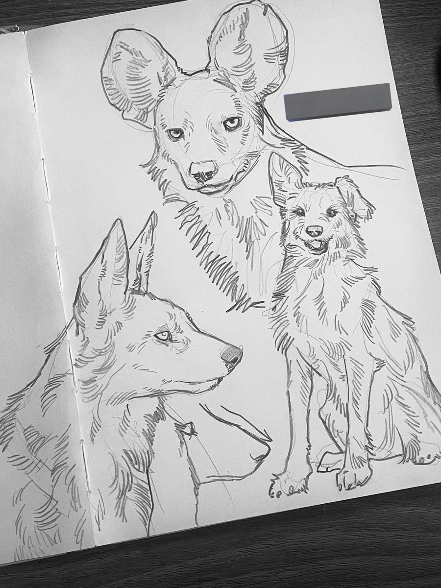 광치 (@cgamuguna) on Twitter photo 