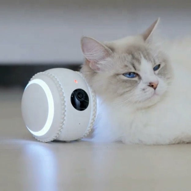 CalmShops's tweet image. Stay connected with your cat anytime! The Pet-mate AI Smart Robot lets you watch, interact, and engage with your feline friend in real time. Peace of mind for just £89.95. 🐱📱 #PetTech #CatLovers calmshops.co.uk/products/inter…