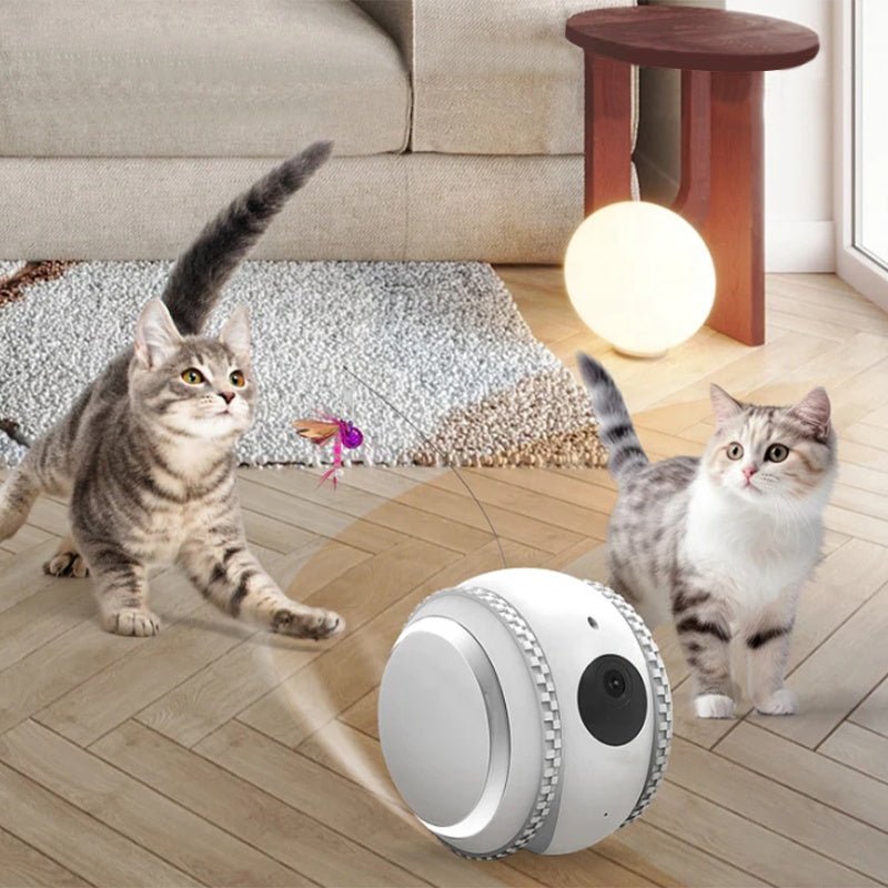 CalmShops's tweet image. Stay connected with your cat anytime! The Pet-mate AI Smart Robot lets you watch, interact, and engage with your feline friend in real time. Peace of mind for just £89.95. 🐱📱 #PetTech #CatLovers calmshops.co.uk/products/inter…