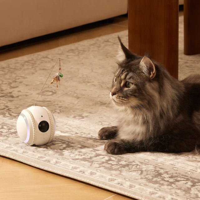CalmShops's tweet image. Stay connected with your cat anytime! The Pet-mate AI Smart Robot lets you watch, interact, and engage with your feline friend in real time. Peace of mind for just £89.95. 🐱📱 #PetTech #CatLovers calmshops.co.uk/products/inter…