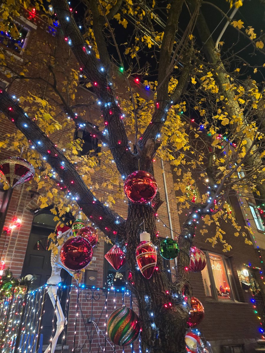 Savannah_0611's tweet image. Hey all. Happy Sunday! 

#SundayYellow #AlphabetChallenge #WeekVforVowels - O for Ornaments