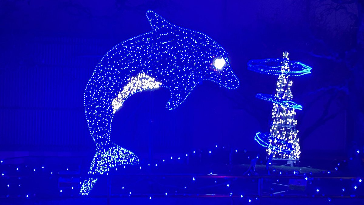 Beautiful illumination at Sakurajyuji Hospital

sakurajyuji.or.jp/about/feature/…
<a href="/sj_jinji/">桜十字グループ人事部（熊本）</a>