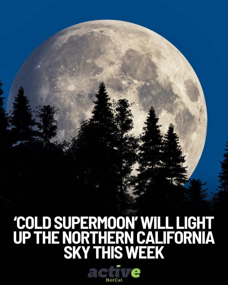 InterestingSci1's tweet image. Good Evening X Friend 💤 

   Have a peaceful Evening ❤️