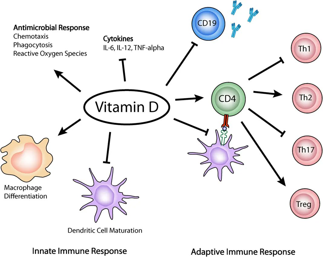 BrandonLuuMD's tweet image. Vitamin D reduces respiratory infections (especially in people who are deficient)

Meta-analysis of 25 RCTs:
- 19% lower risk with consistent daily/weekly dosing
- 70% lower risk if severely deficient (&amp;lt;25 nmol/L)