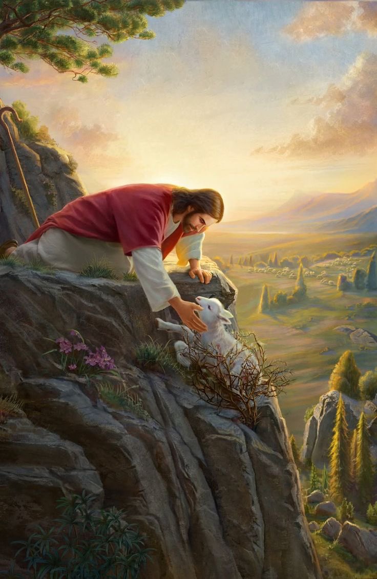 abracetradicao's tweet photo. Bom dia. Cristo é o Senhor https://t.co/AEHYsVhziW