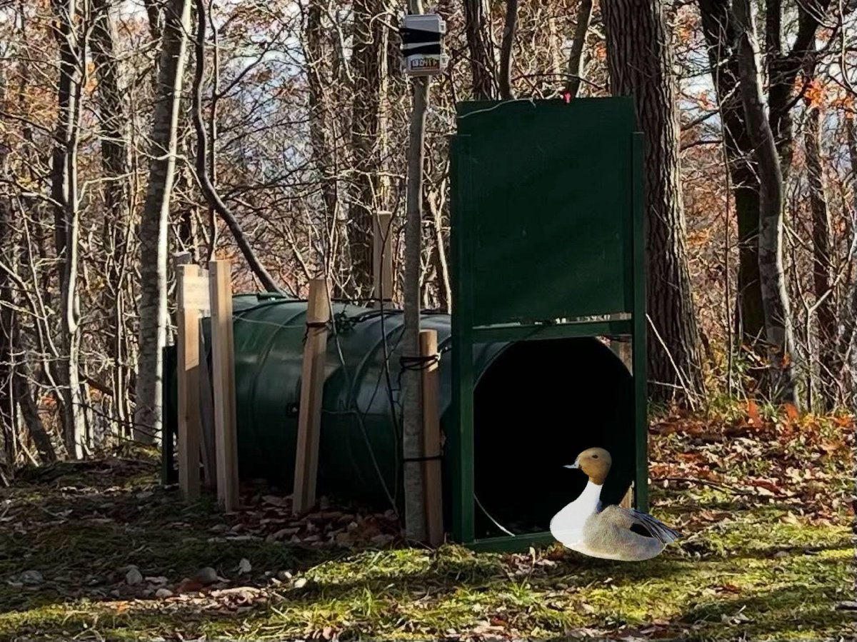 ちょこざい (@Z7ZX001) / Posts / X