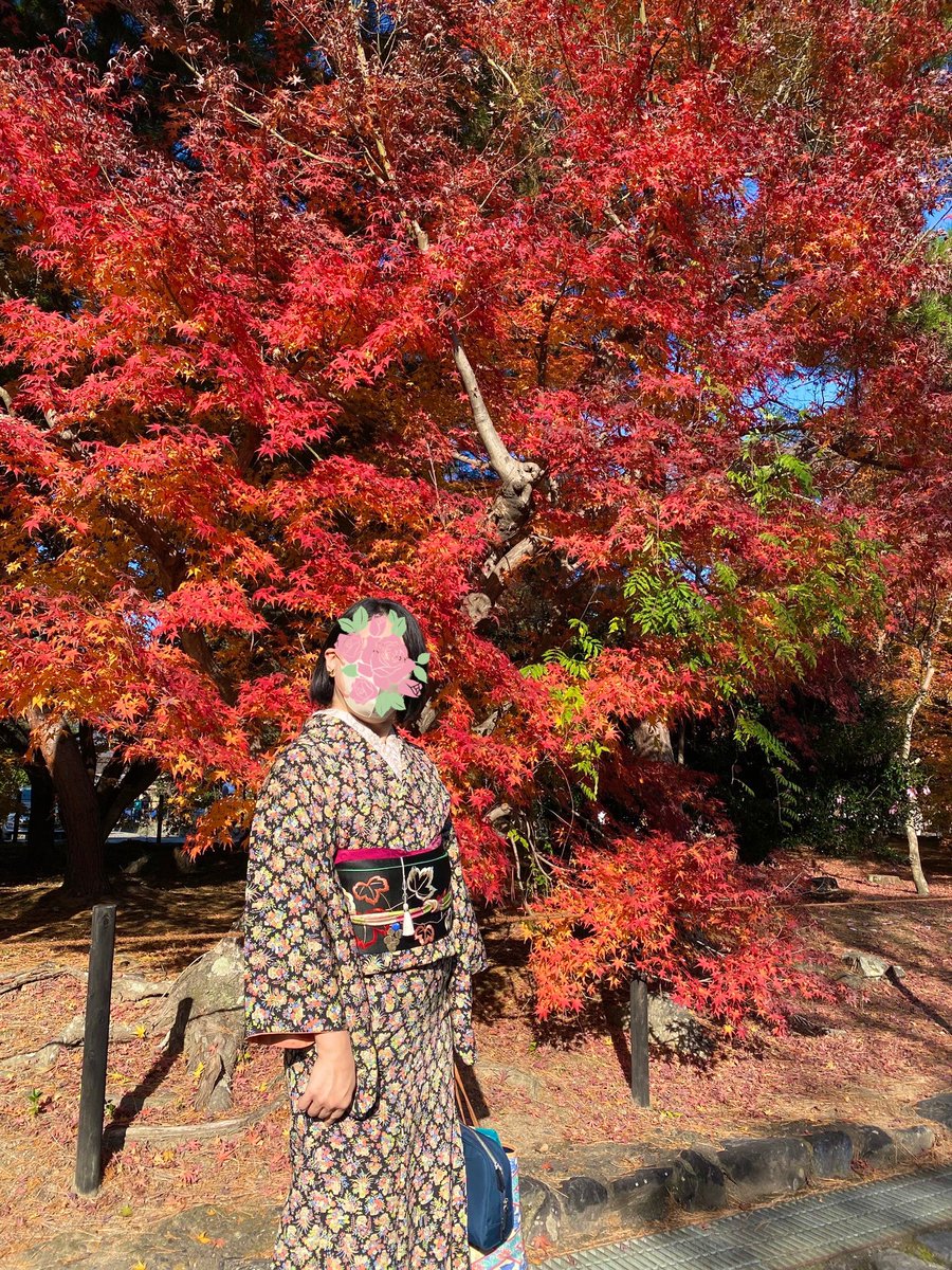 RascalSeren's tweet photo. 今日は嵐山を散策。
久しぶりに天龍寺塔頭の
宝厳院のお庭を拝観しました🍁

以前では考えられないくらいに空いていてびっくり。

今日の着物コーデは1000円着物Bambiさんで購入の長着に1年に１回しか締めないリス🐿️ちゃんの帯🤗

#本日の着物コーデ https://t.co/a8zzCq4C7U