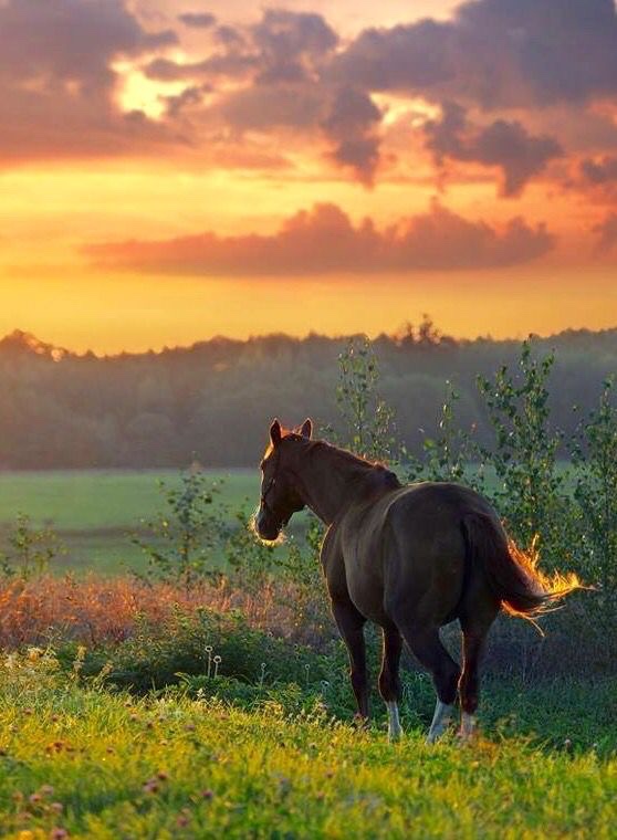 pmhien2803's tweet image. Happy evening!

Let’s connect.